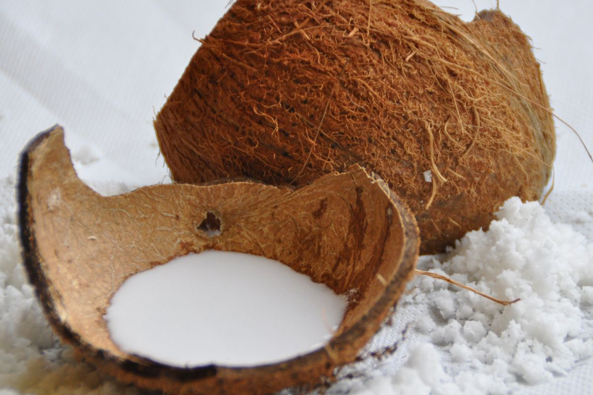 An open coconut shell with coconut milk inside.