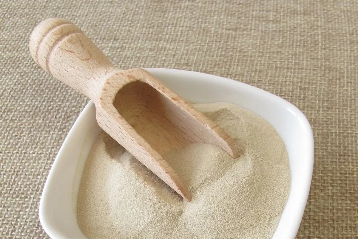 A bowl of agar-agar with a wooden scoop.