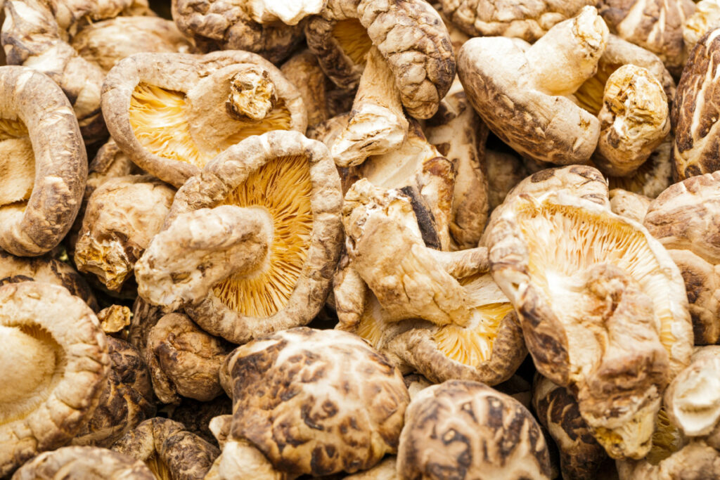 A batch of dried shiitake mushrooms.