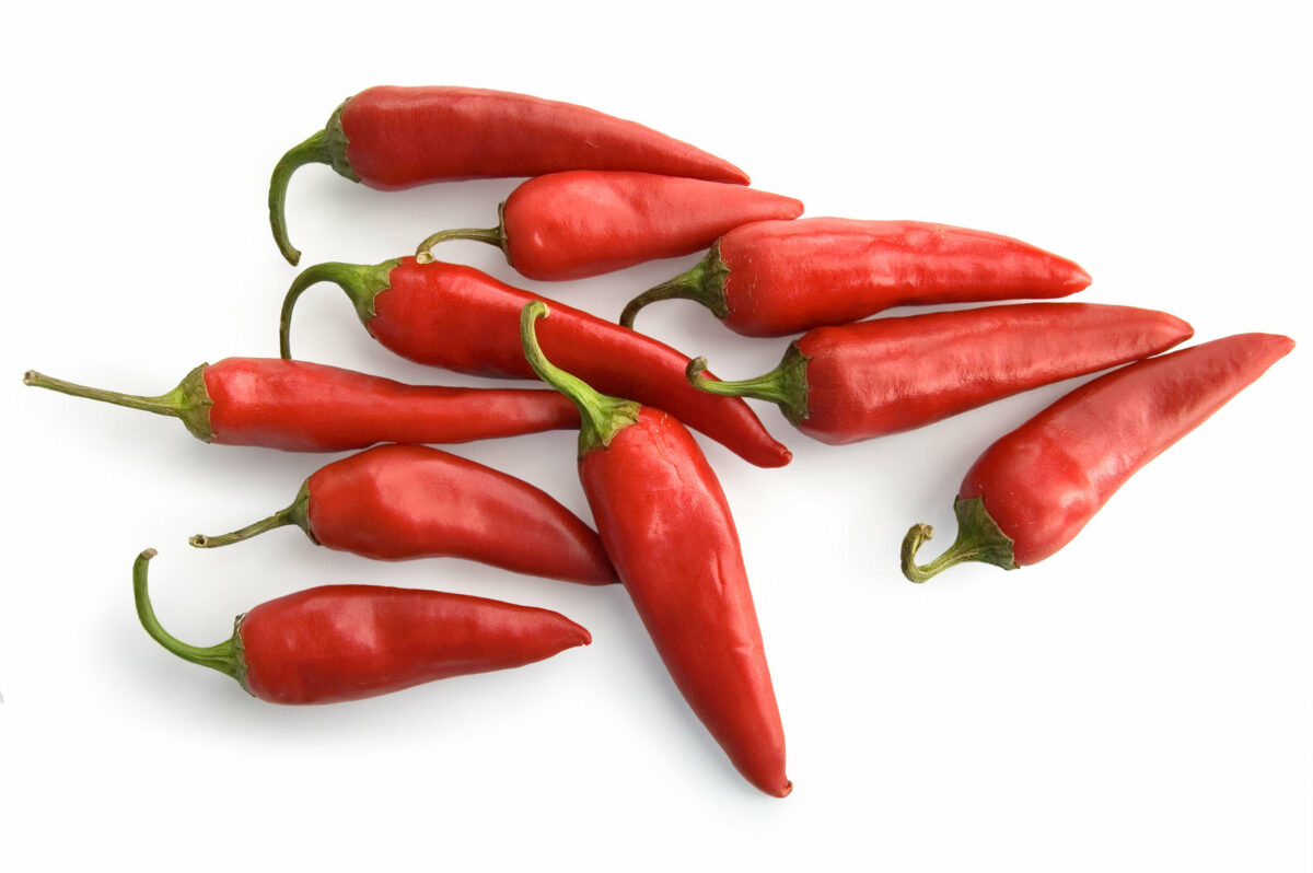 A bunch of cayenne peppers on a white backdrop.