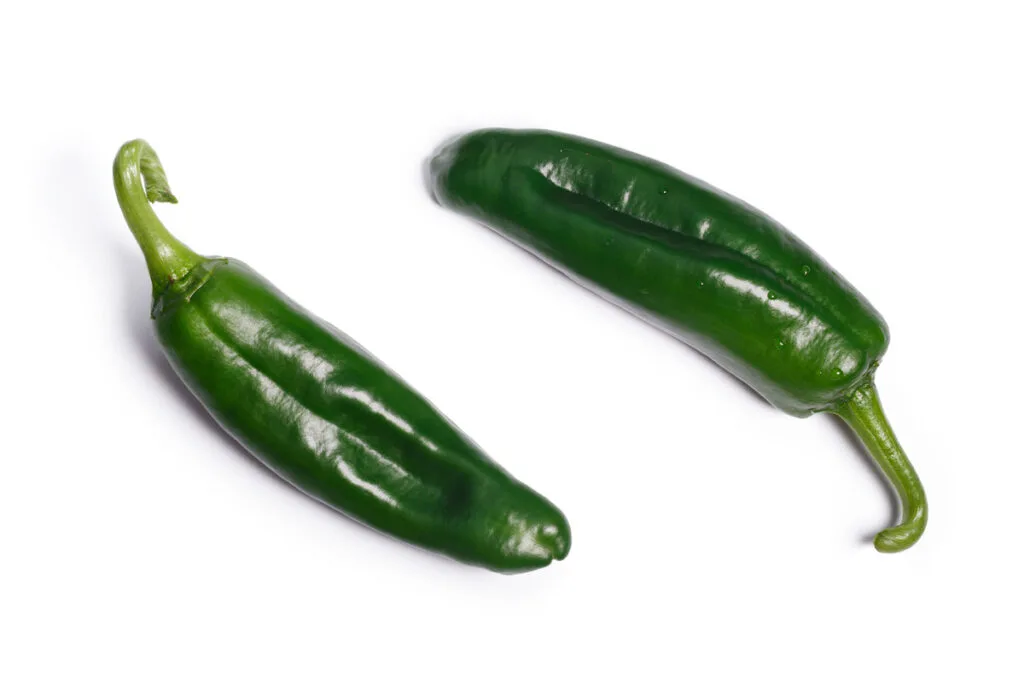A closeup of two fresh green Anaheim chilis