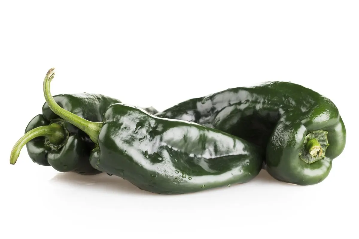 A closeup of 3 fresh poblano peppers.