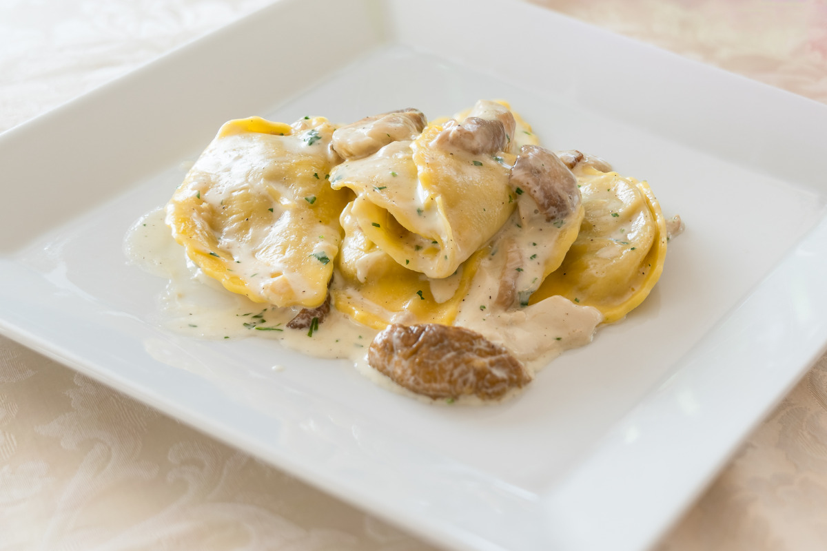 A delicious plate of tortellini sauced with mushroom cream sauce.
